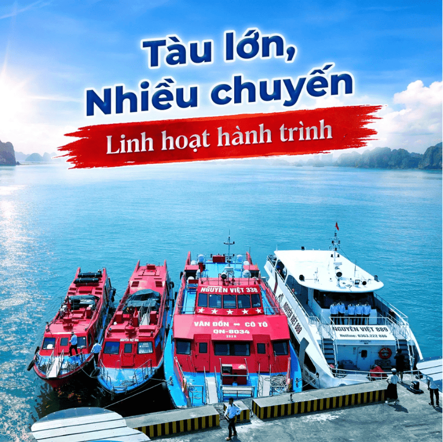 Tàu Cao Tốc Nguyên Việt