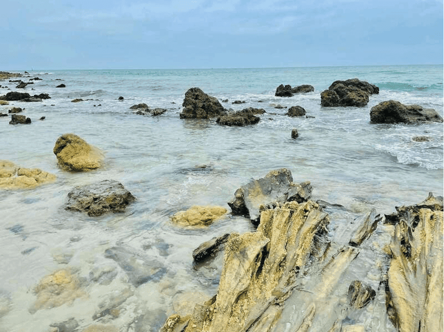 Tàu Cao Tốc Nguyên Việt