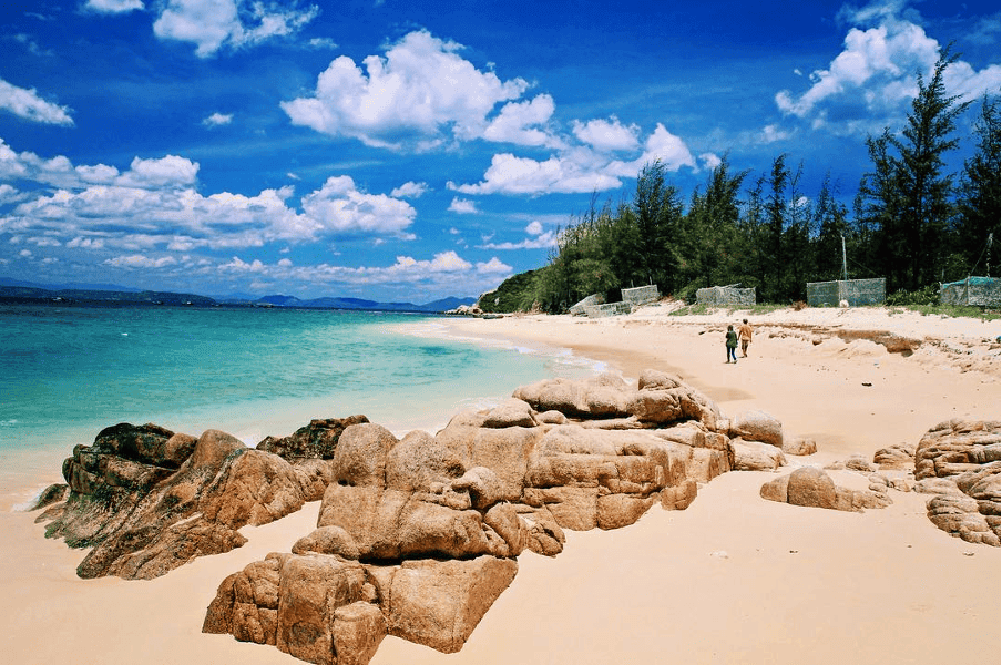 Tàu Cao Tốc Nguyên Việt