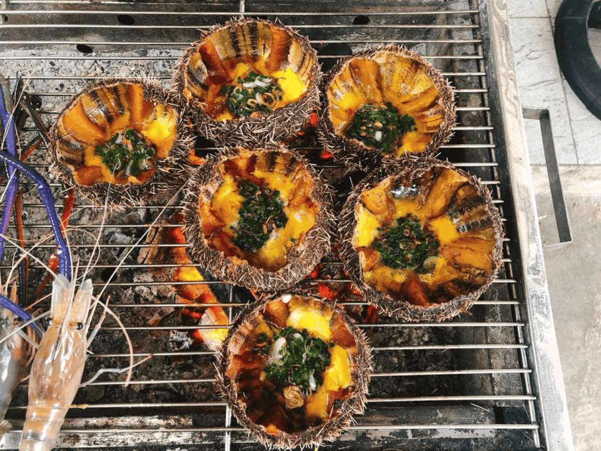 Tàu Cao Tốc Nguyên Việt