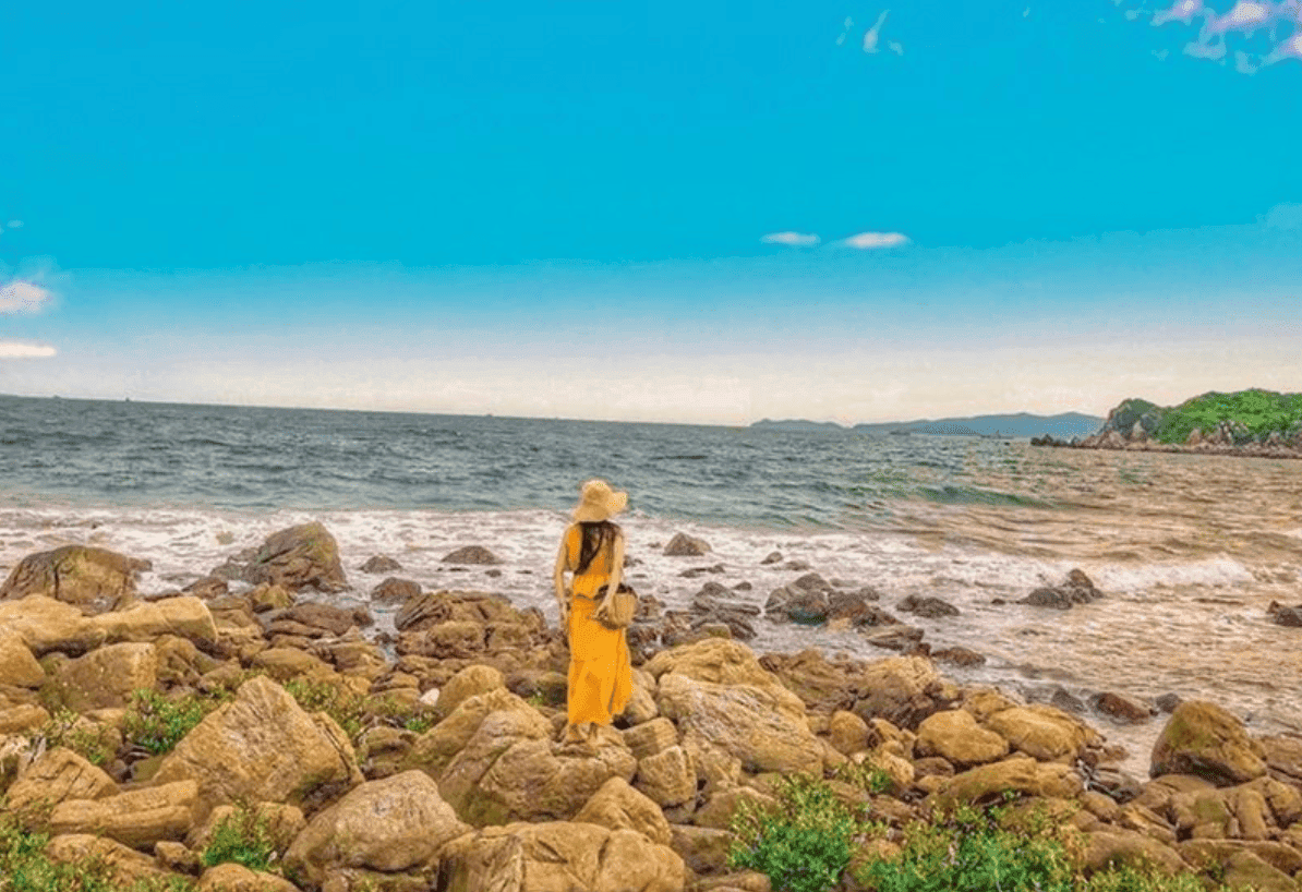 Tàu Cao Tốc Nguyên Việt