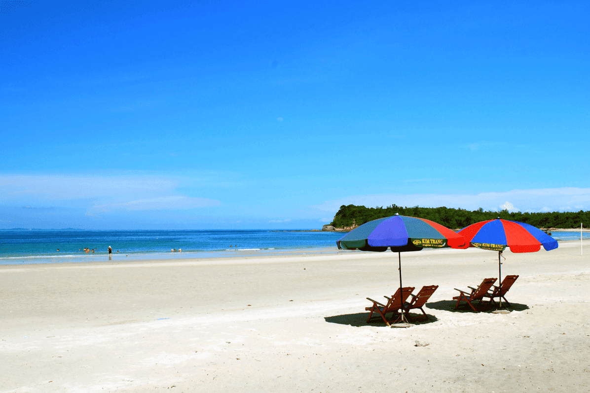 Tàu Cao Tốc Nguyên Việt