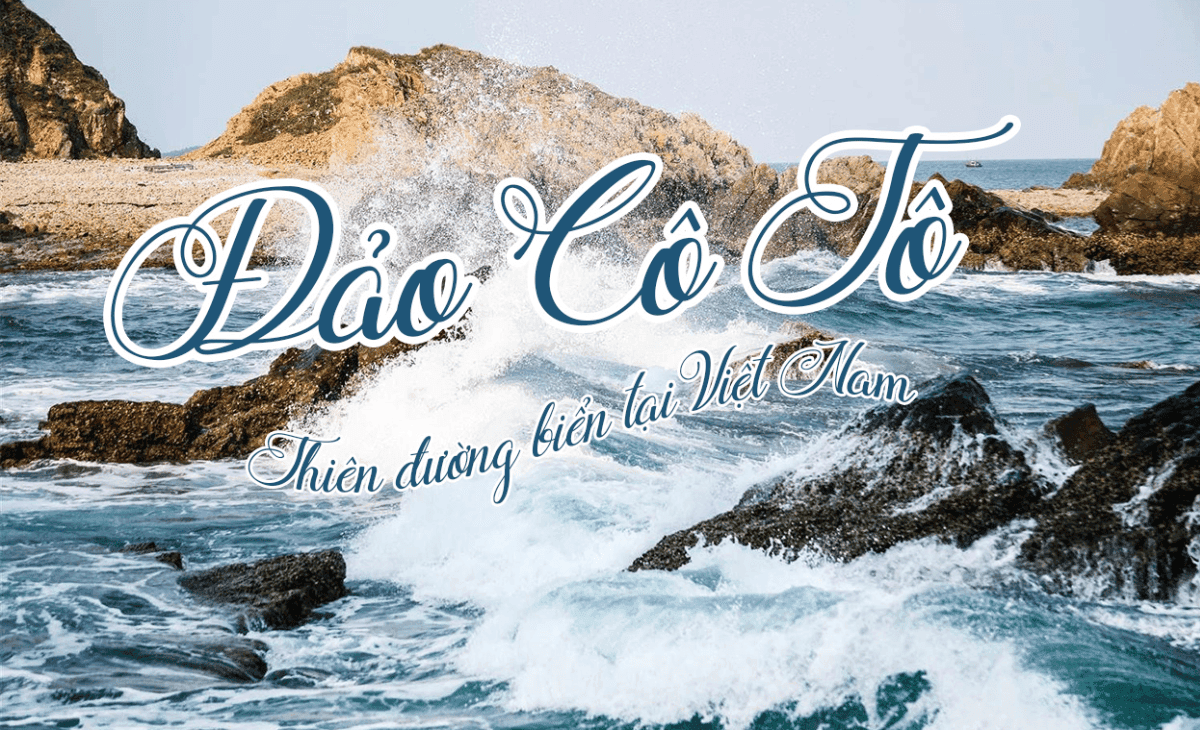 Tàu Cao Tốc Nguyên Việt