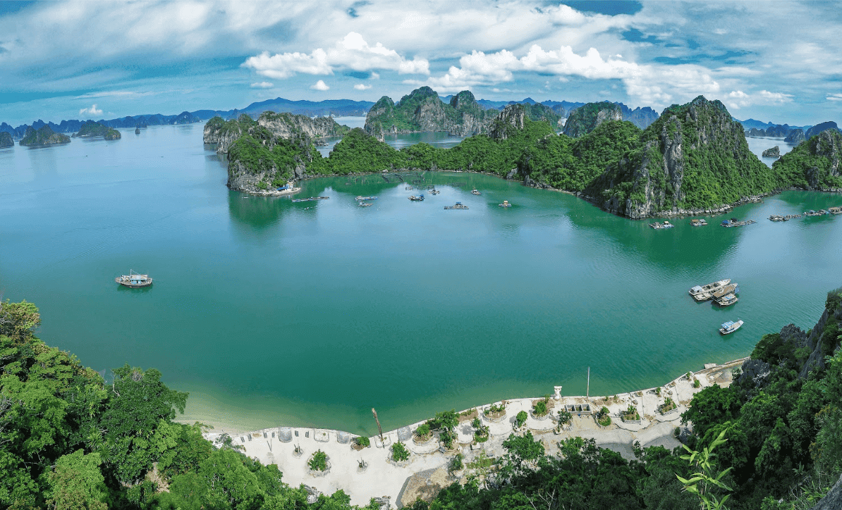 Tàu Cao Tốc Nguyên Việt