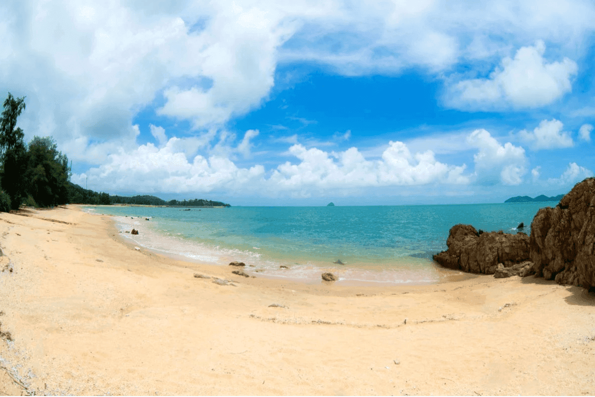 Tàu Cao Tốc Nguyên Việt