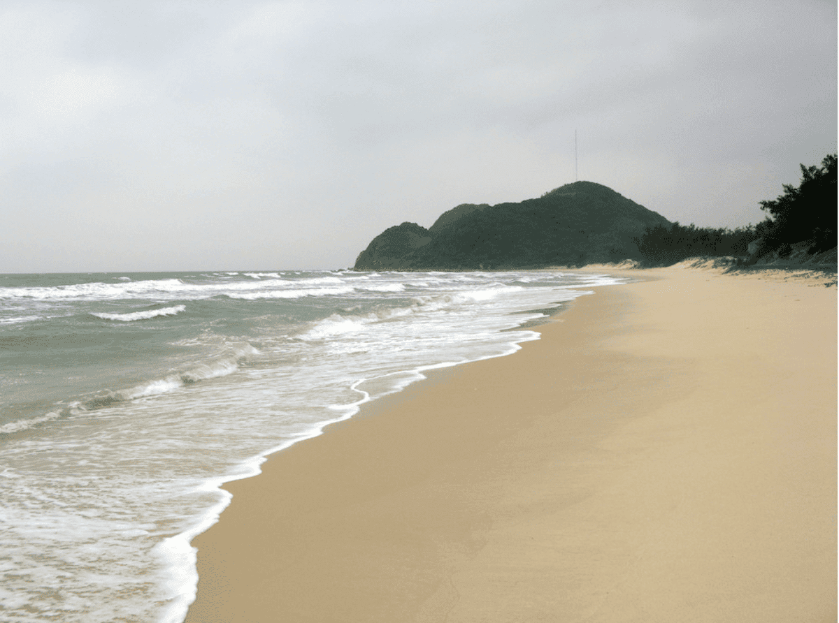 Tàu Cao Tốc Nguyên Việt