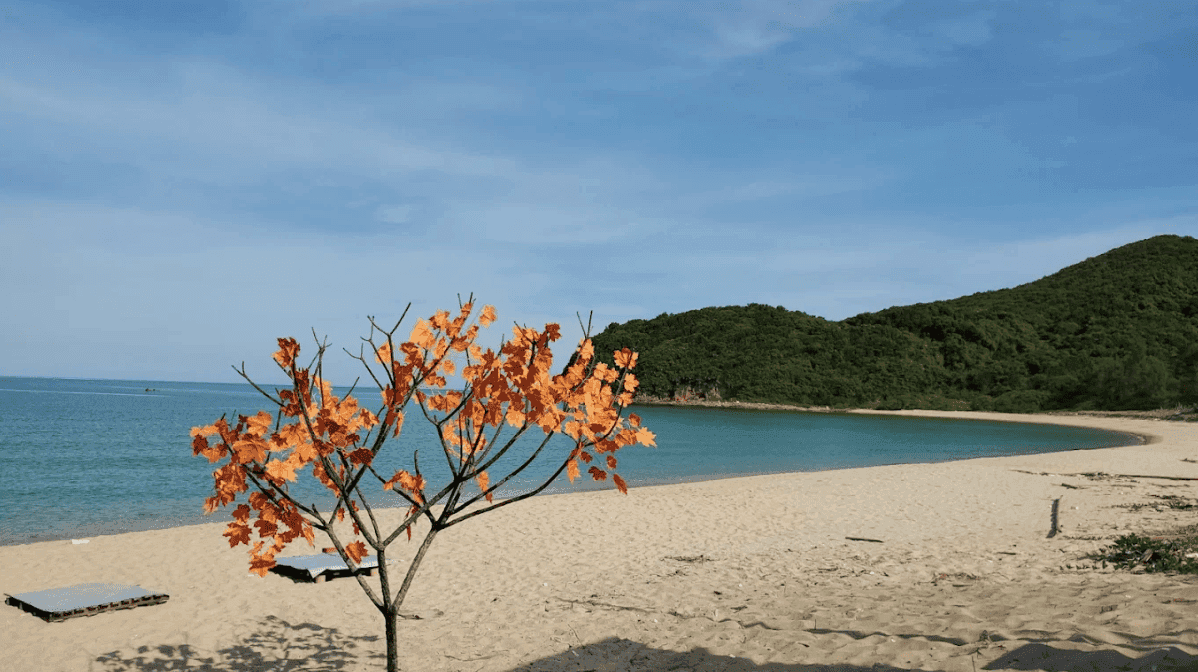 Tàu Cao Tốc Nguyên Việt
