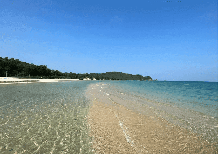 Tàu Cao Tốc Nguyên Việt