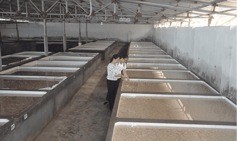 Tàu Cao Tốc Nguyên Việt