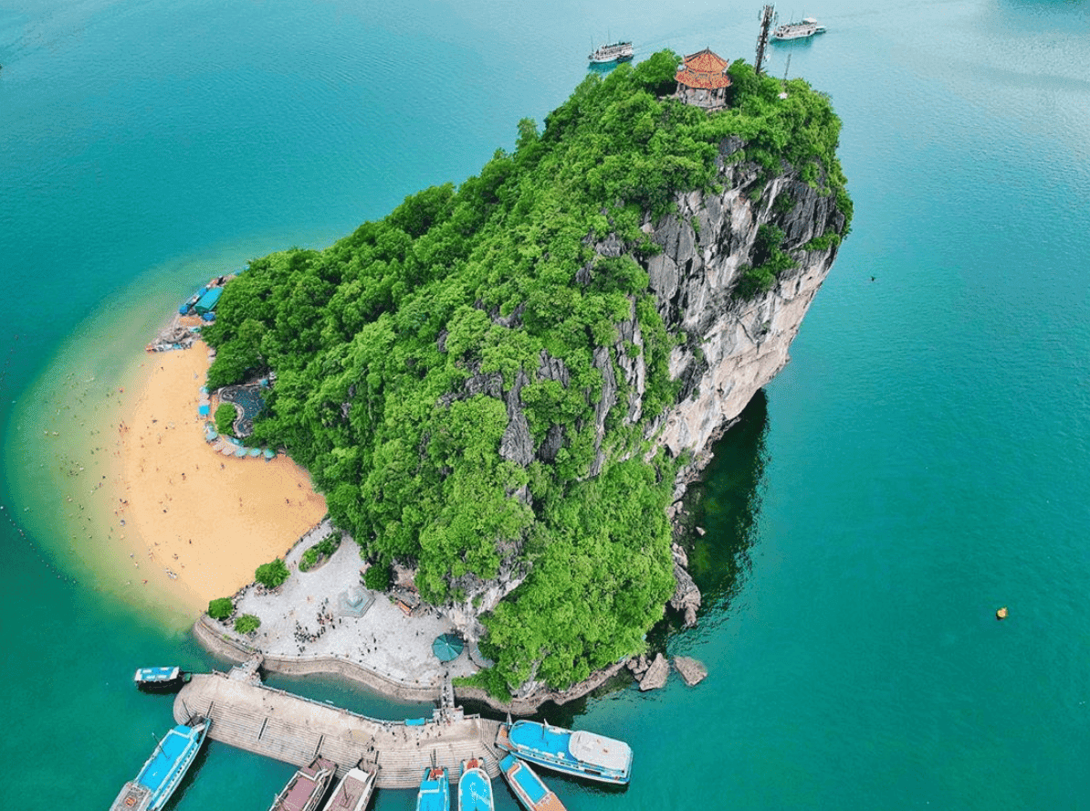 Tàu Cao Tốc Nguyên Việt