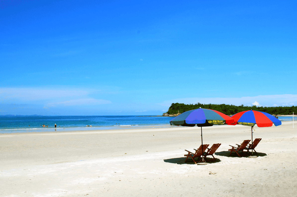 Tàu Cao Tốc Nguyên Việt