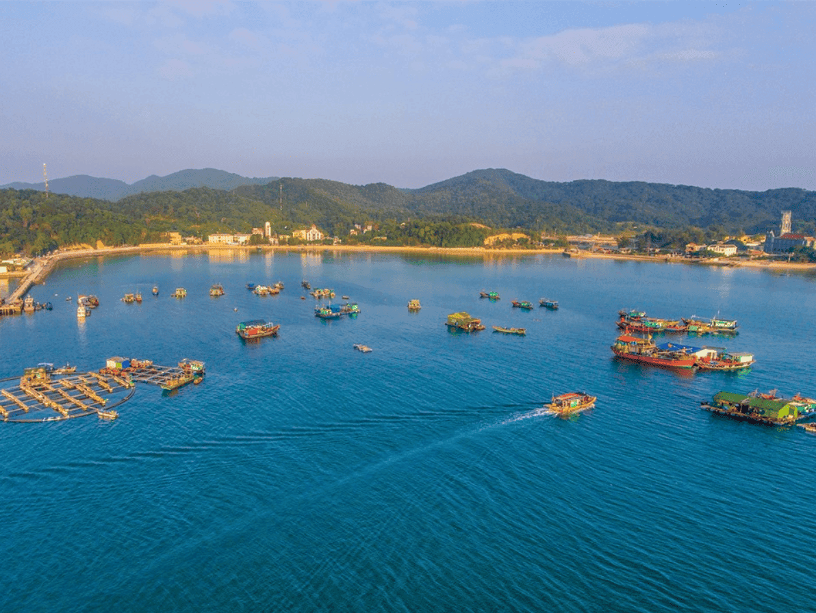 Tàu Cao Tốc Nguyên Việt