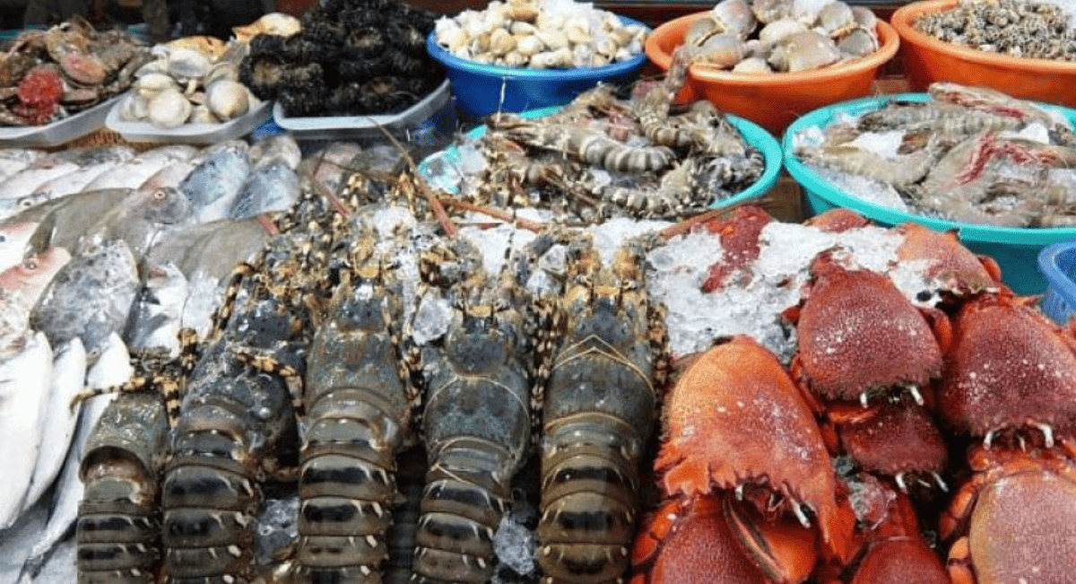 Tàu Cao Tốc Nguyên Việt